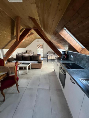 Mira Home 3